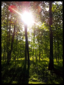 AdobePhotoshopExpress_2014_11_06_13-56-39 (1)